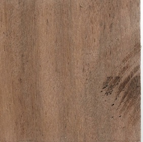 Dipterocarpus tuberculatus