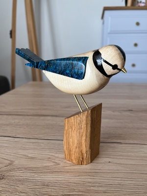 Mésange bleue