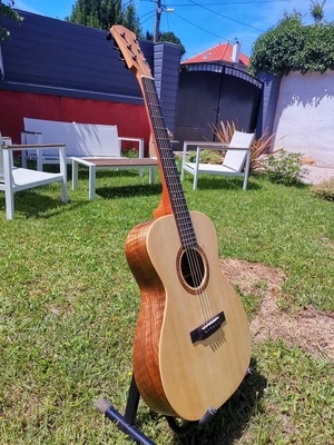 Guitare acoustique de style OM