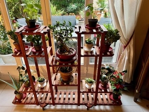 Etagère à plantes sur roulettes