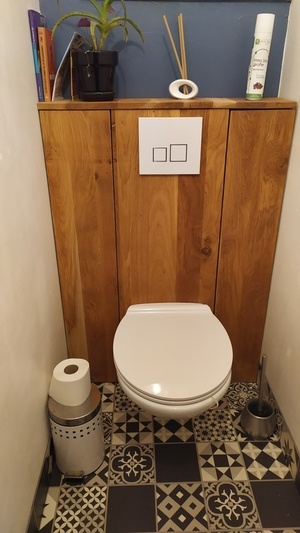 Toilettes suspendues