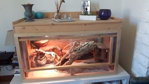 Tiroir de rangement sur terrarium