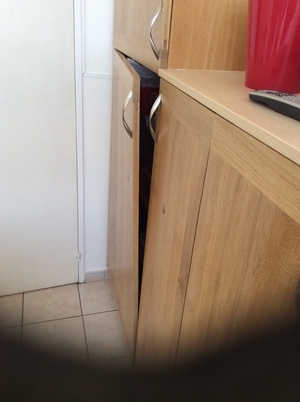 Il est libre ....... le bois y en a même qui l'on vu vriller