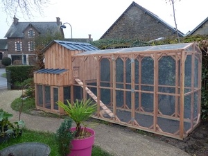 Poulailler xxl pour poules de luxe