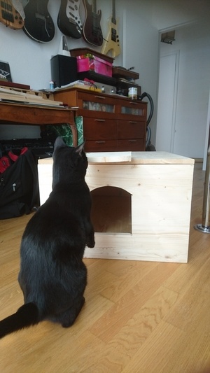 Maison pour chats errants
