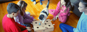 Jouet pour chat : "Whack-A-Mole" maison!