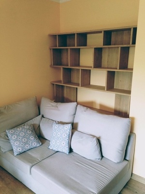 Une bibliothèque derrière un canapé