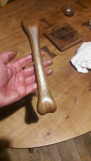 Un os en bois