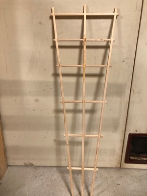 Espalier pour plante grimpante