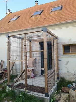 Une "volière" pour mes matous