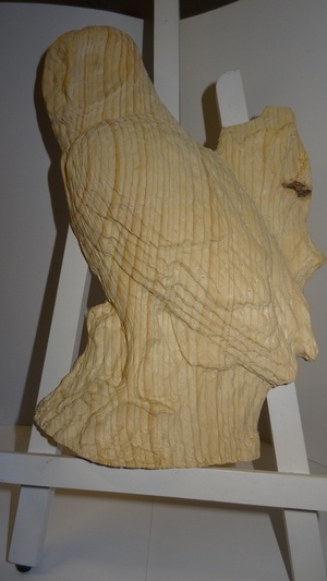 Chouette  non ...???