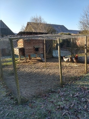 L' hôtel à Cocottes