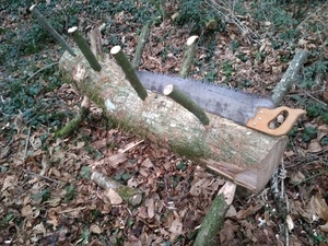 Un chevalet de sciage