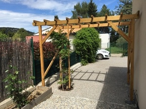 Une treille pour la bignone