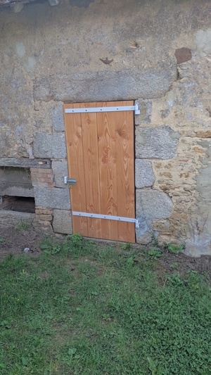 Porte douglas remise