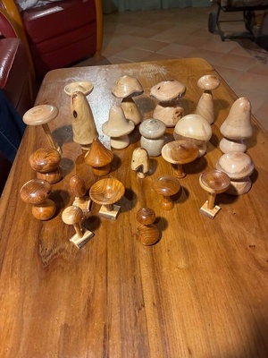 Fricassée de champignons