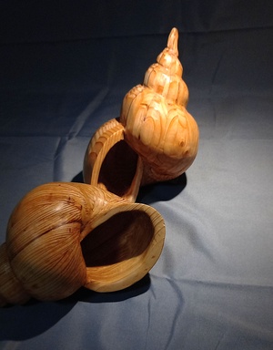 En attendant l’été, quelques coquillages.