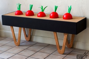 L'étagère Radi-euse