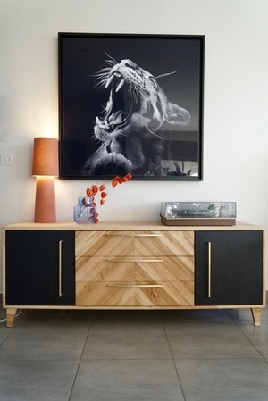 Meuble TV - Nos adhérents ont du talent! -