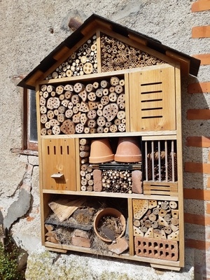Hôtel à insectes
