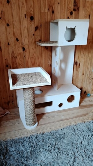 Arbrachat, Arbre à chat ... miaou ?