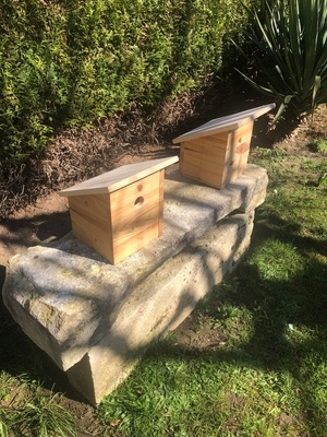 Petits nichoirs sans prétentions