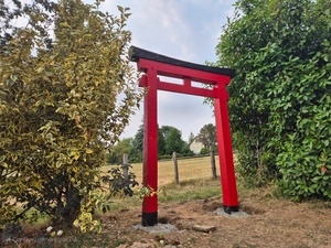 Torii