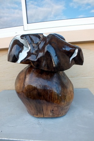 Bolétus non comestible