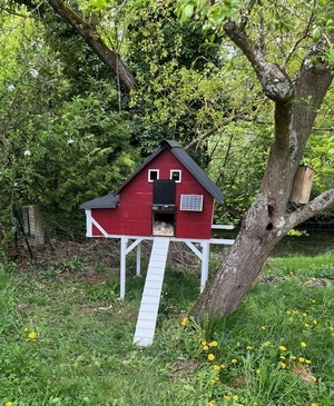 Poulailler  - 2 à 8 poules