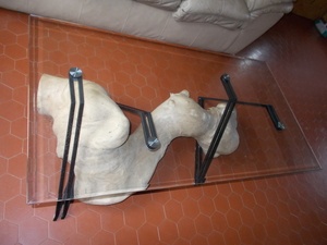 Table basse verre ferronnerie sophora du japon