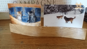 Support photo à la Cévenole