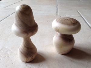 Champignons en Albizia