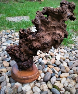 Juste parce que c'est beau