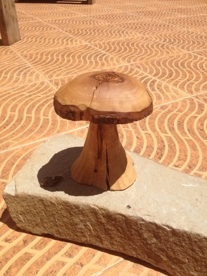 Un beau champignon sculpté