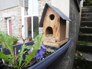 Mangeoire pour oiseaux