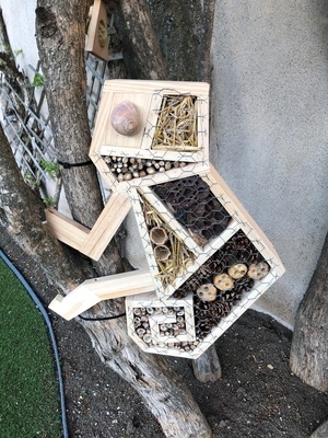 Hôtels à Insectes Caméléon