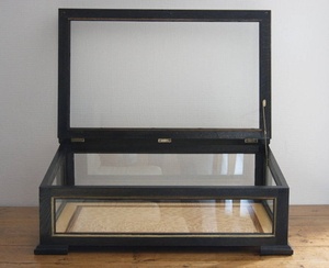 Une vitrine en chêne ébonisé.