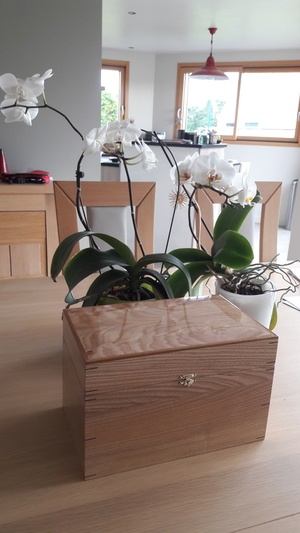 Boîte à huiles essentielles