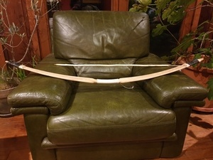 Expérience d'Arc à flèche