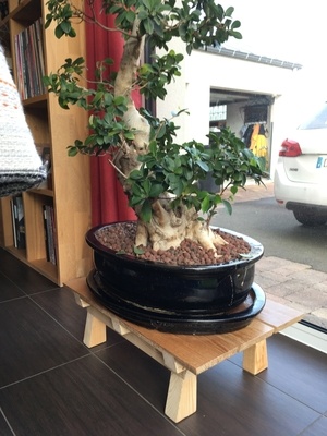 Support de bonsai