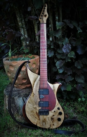 Ma dernière guitare, pour musique énervée.