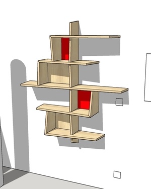 Petite bibliothèque murale