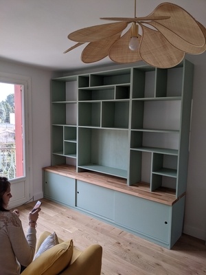 Meuble télé bilbiothèque