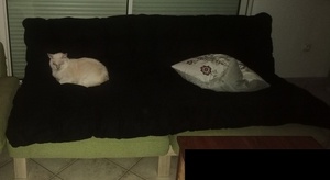 Un canapé en Chevrons