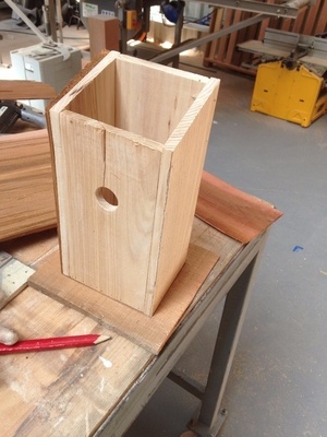 Cabane pour Mésanges bleu