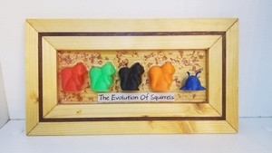 The Evolution of Squirrels