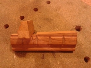 Guide queues d'arondes