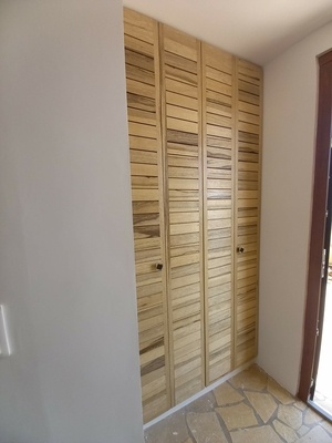 Portes de placard d'entrée