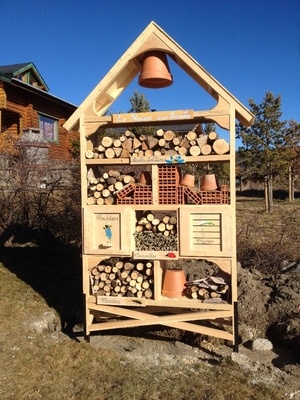 La maison aux insectes