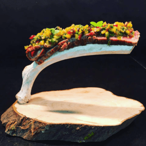 Assiette pour chef gastronomique